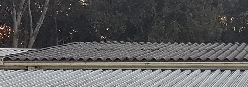 Close-up of corrugated asbestos-cement roof sheets in a generic reference photograph